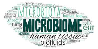 il microbioma è correlato alla nostra salute